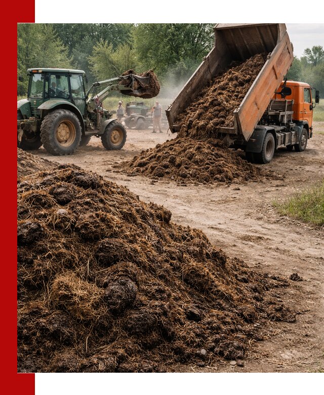 Доставка навоза самосвалами в Славгороде для сельхозпотребностей